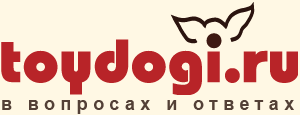 Logo ToyDogi